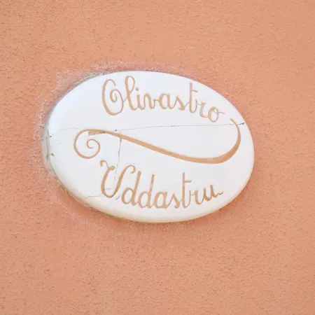Olivastro