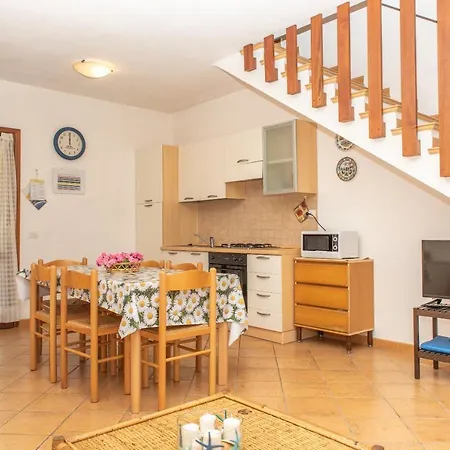 Olivastro Villa San Teodoro (Sardinia)