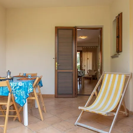 Olivastro San Teodoro (Sardinia)