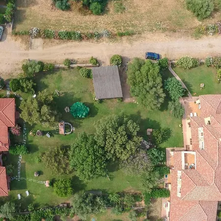 Olivastro * San Teodoro (Sardinia)