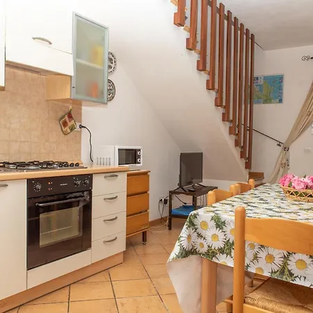 Olivastro * San Teodoro (Sardinia)