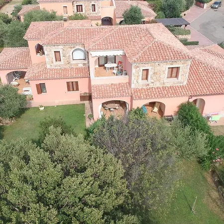 Olivastro * San Teodoro (Sardinia)