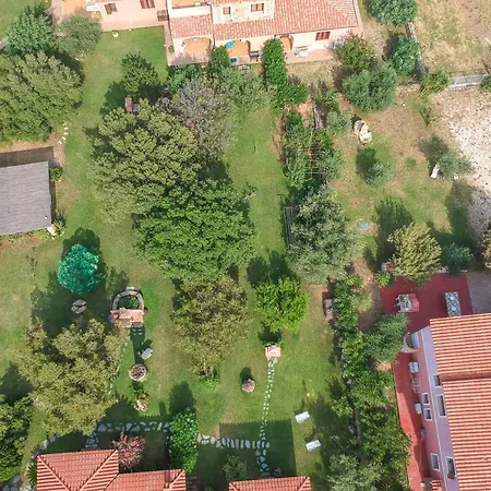 Olivastro * San Teodoro (Sardinia)